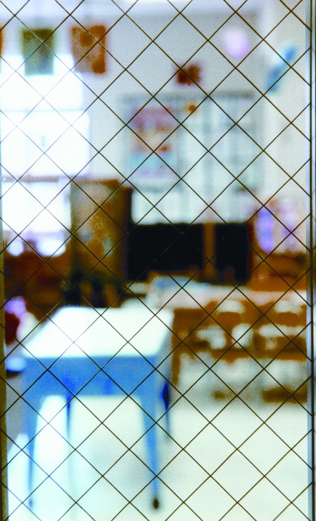 Safety Fireproof Wire Mesh Laminated Glass with Metal Insert Fire