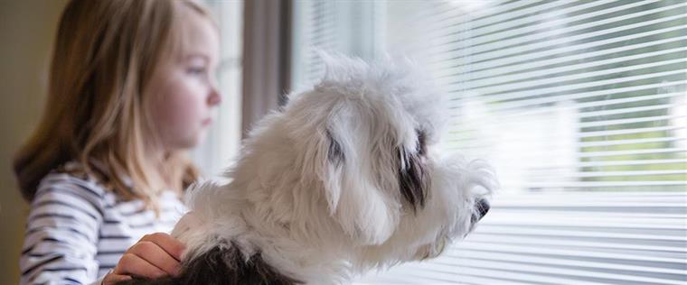 BLINDS BETWEEN THE GLASS——WHICH IS A MODERN ALTERNATIVE TO TRADITIONAL BLINDS