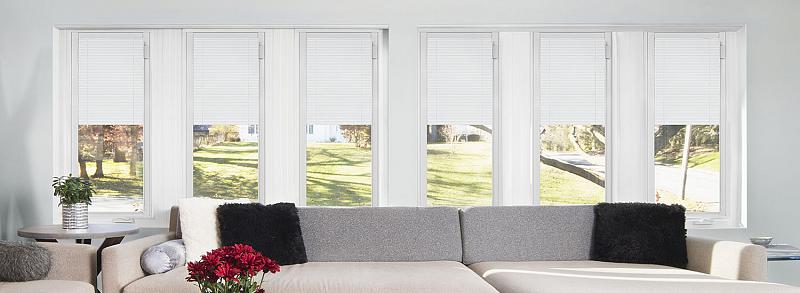 blinds between glass2